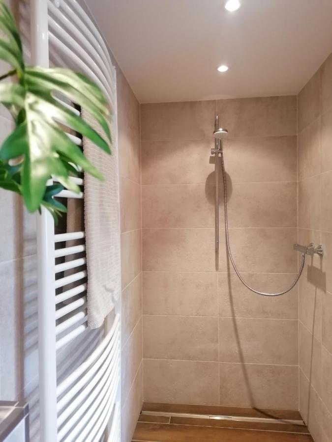 Haus Sandstein Glueck Biedermann Apartment Bad Schandau
